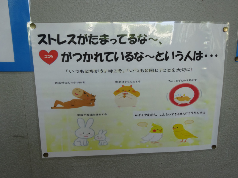 DSC04556