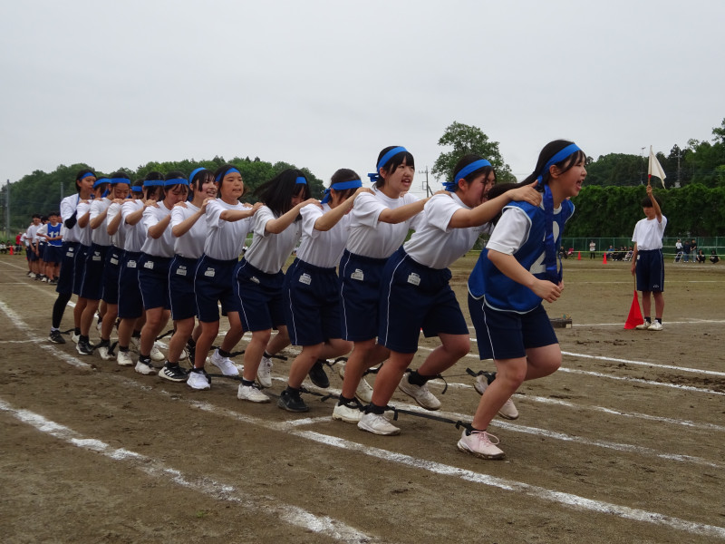 １－１ムカデ