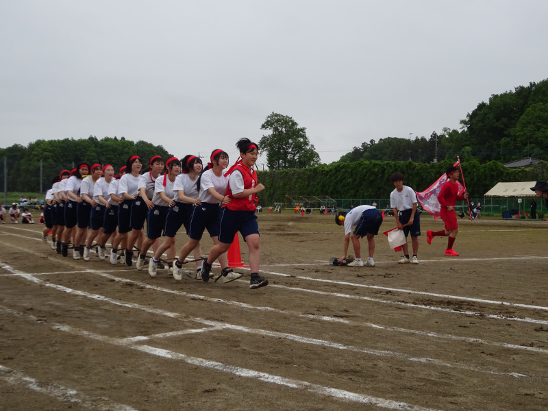 １－２ムカデ